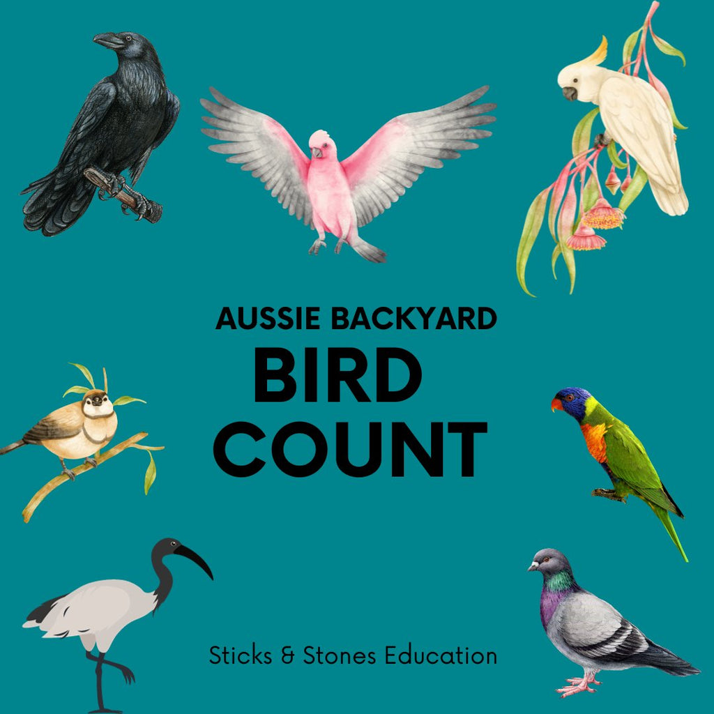 Aussie Backyard Bird Count in Early Childhood - Sticks & Stones Education