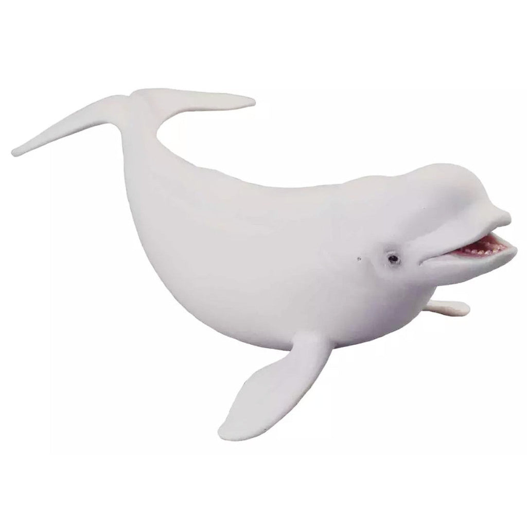 Beluga Whale || CollectA - CollectA - Sticks & Stones Education