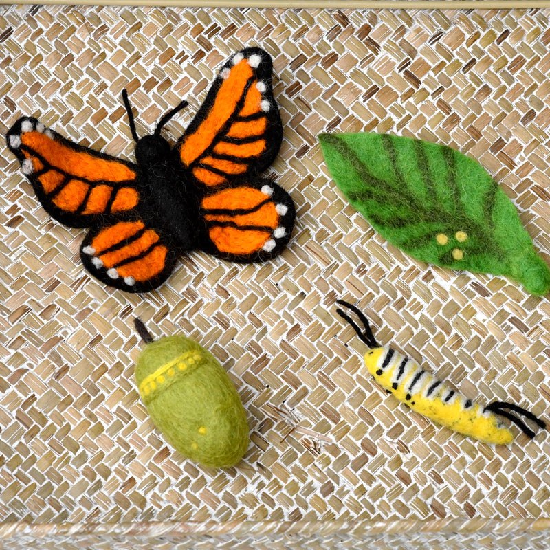 Felt Lifecycle of a Monarch Butterfly - Tara Treasures - Sticks & Stones Education