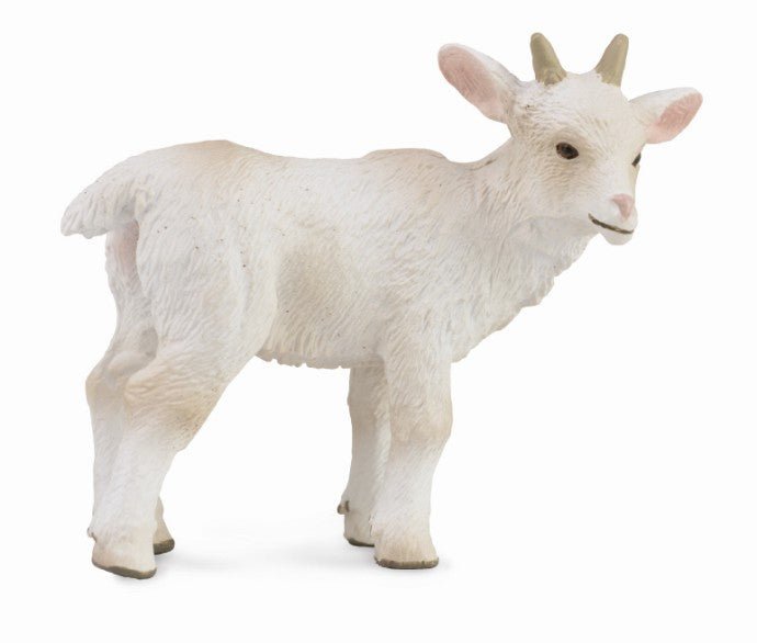 Goat Kid Standing || CollectA - CollectA - Sticks & Stones Education
