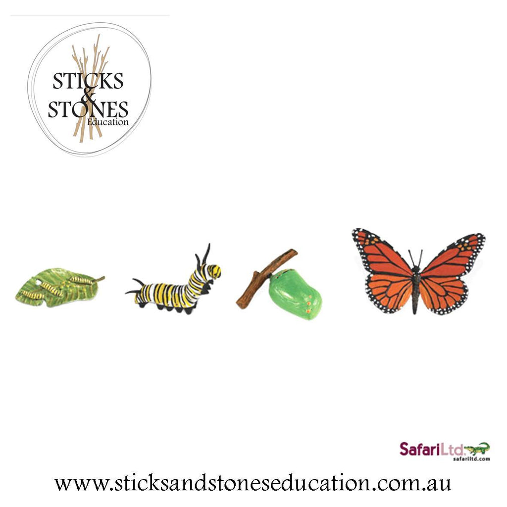 Life Cycle of a Butterfly - Safari Ltd. - Sticks & Stones Education
