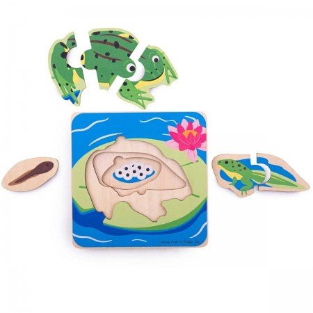 Lifecycle Layer Puzzle Frog - BigJigs Toys - Sticks & Stones Education