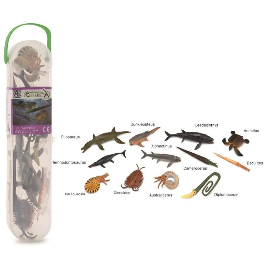 Prehistoric Marine Animals Tube || CollectA - CollectA - Sticks & Stones Education