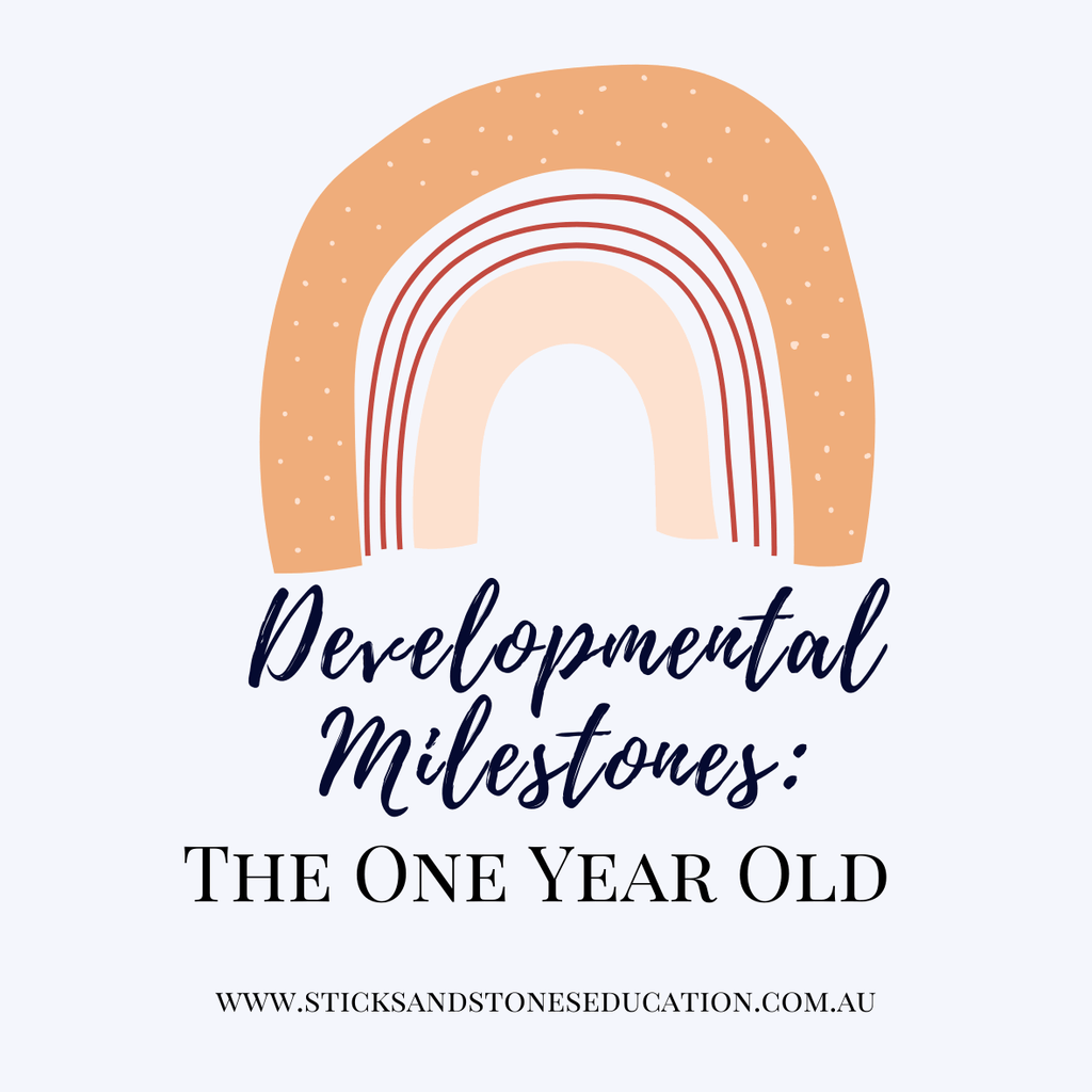 Developmental Milestones: The One Year Old - Sticks & Stones Education