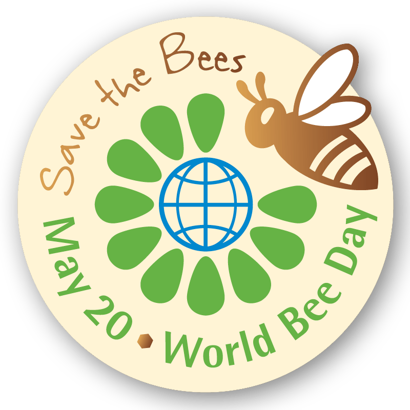 Celebrate World Bee Day! - Sticks & Stones Education
