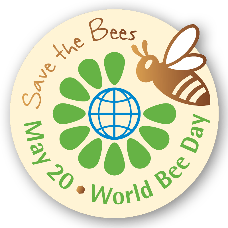 World Bee Day! - Sticks & Stones Education