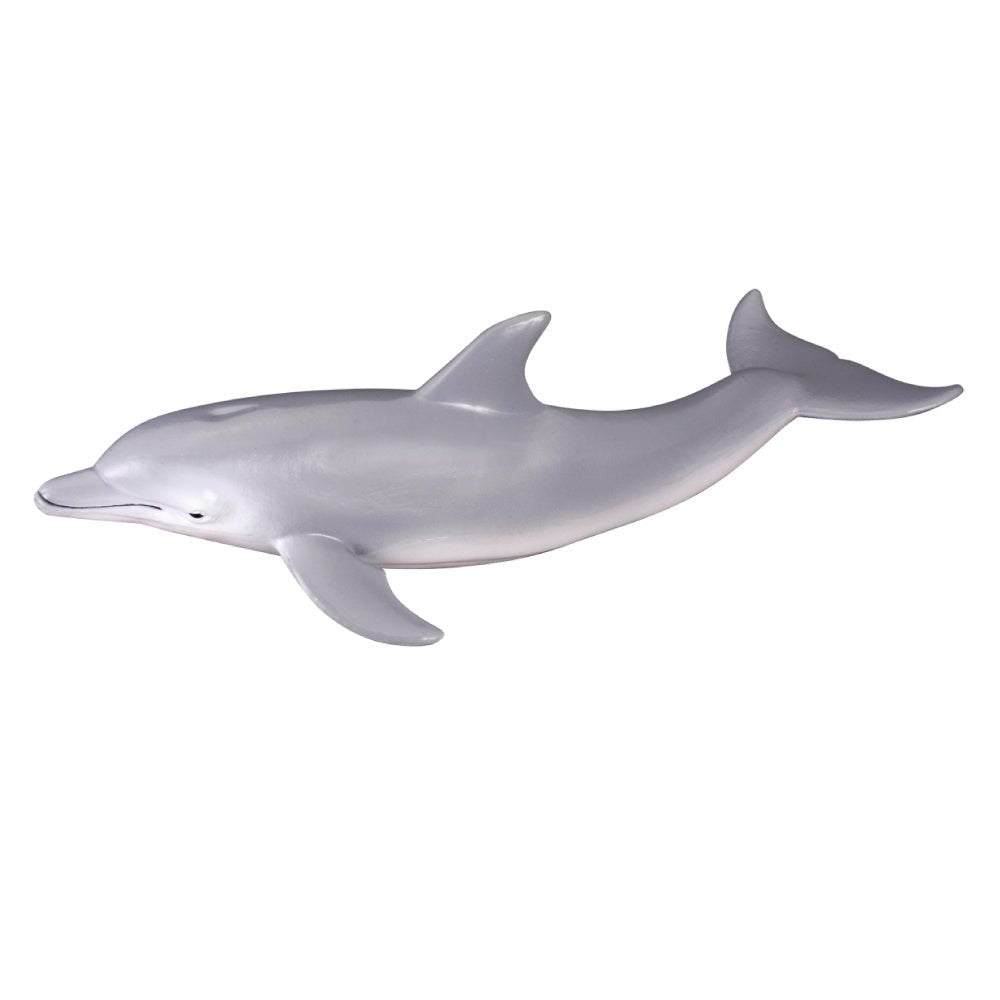 Bottlenose Dolphin || CollectA - CollectA - Sticks & Stones Education