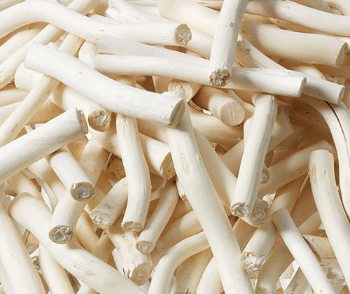 Driftwood || Zart Art - Sticks & Stones Education - Sticks & Stones Education
