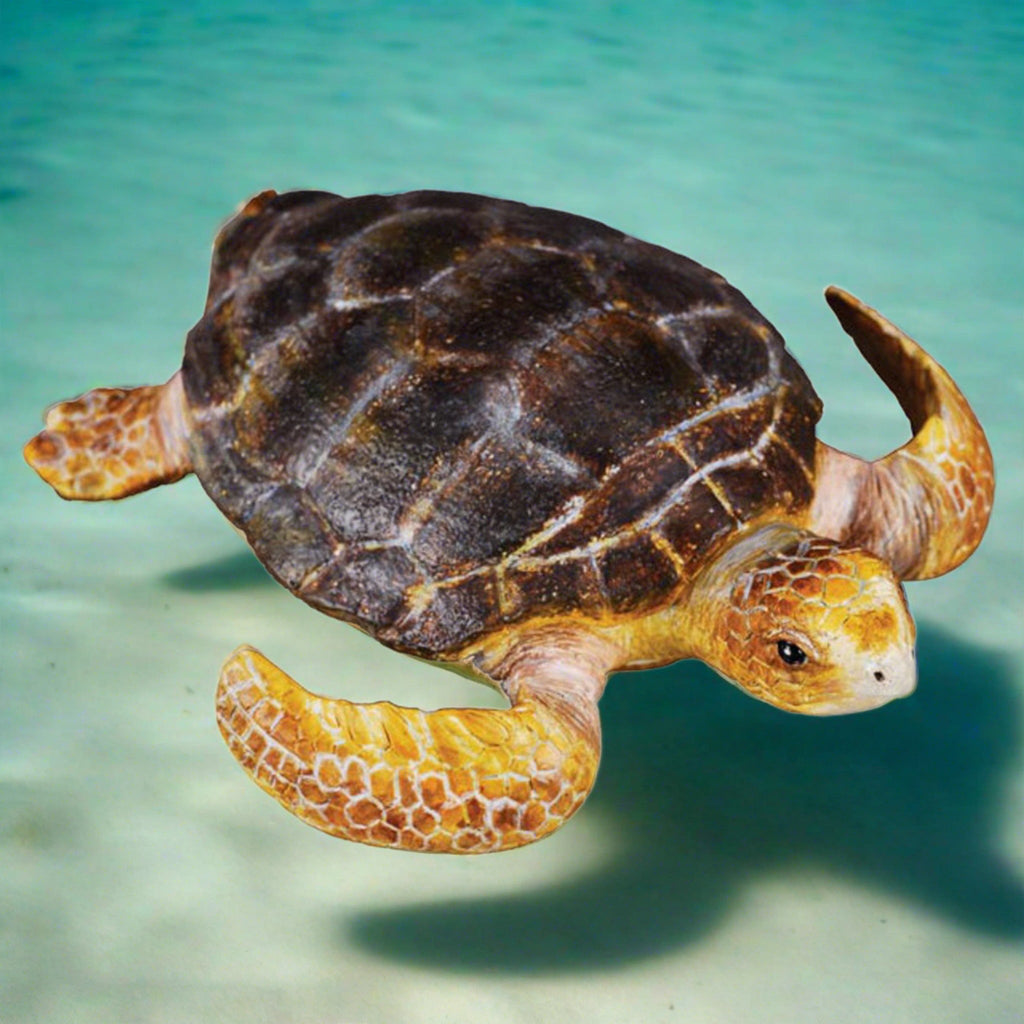 Loggerhead Turtle || CollectA - CollectA - Sticks & Stones Education