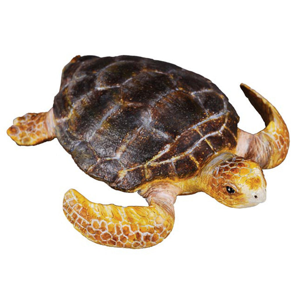 Loggerhead Turtle || CollectA - CollectA - Sticks & Stones Education