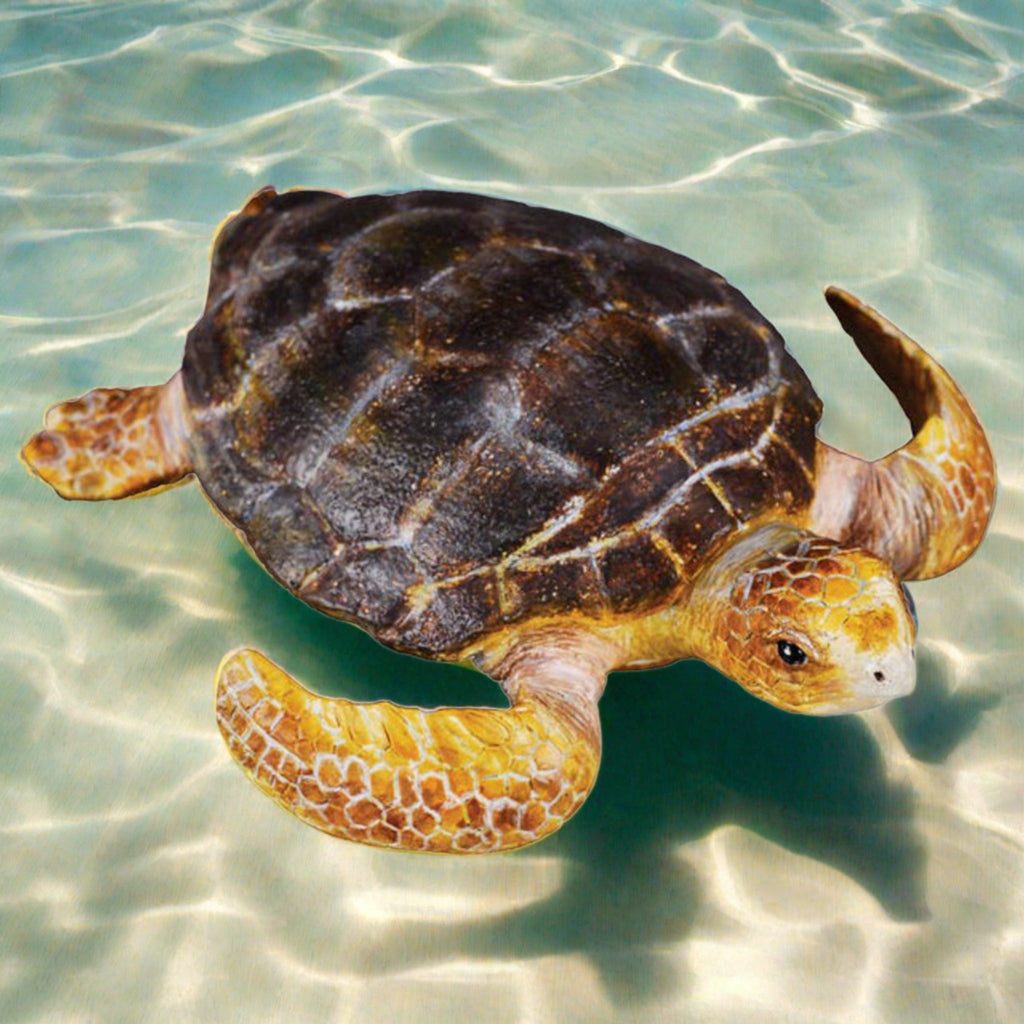 Loggerhead Turtle || CollectA - CollectA - Sticks & Stones Education