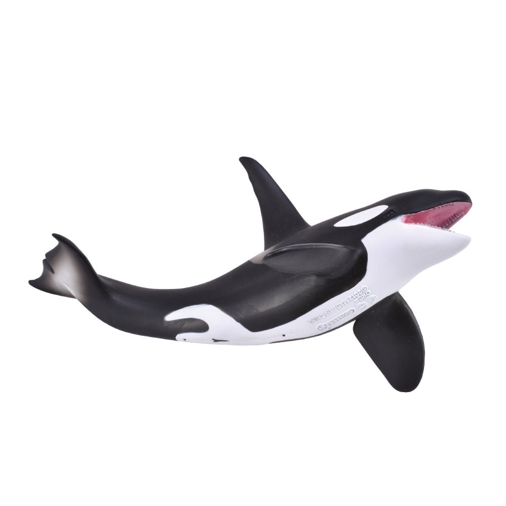 Orca || CollectA - CollectA - Sticks & Stones Education