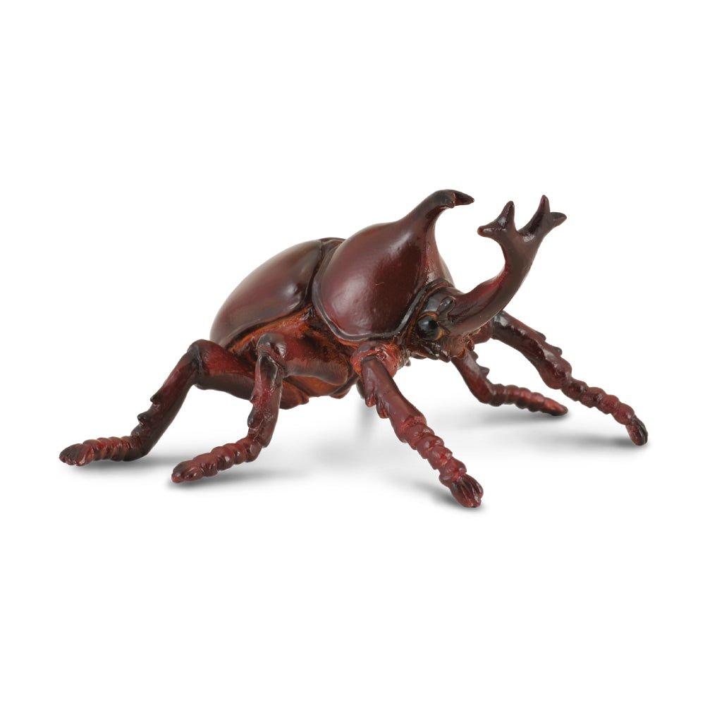 Rhinoceros Beetle || CollectA - CollectA - Sticks & Stones Education