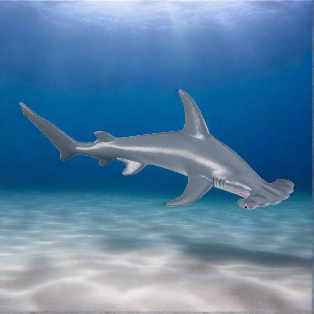 Scalloped Hammerhead Shark || CollectA - CollectA - Sticks & Stones Education