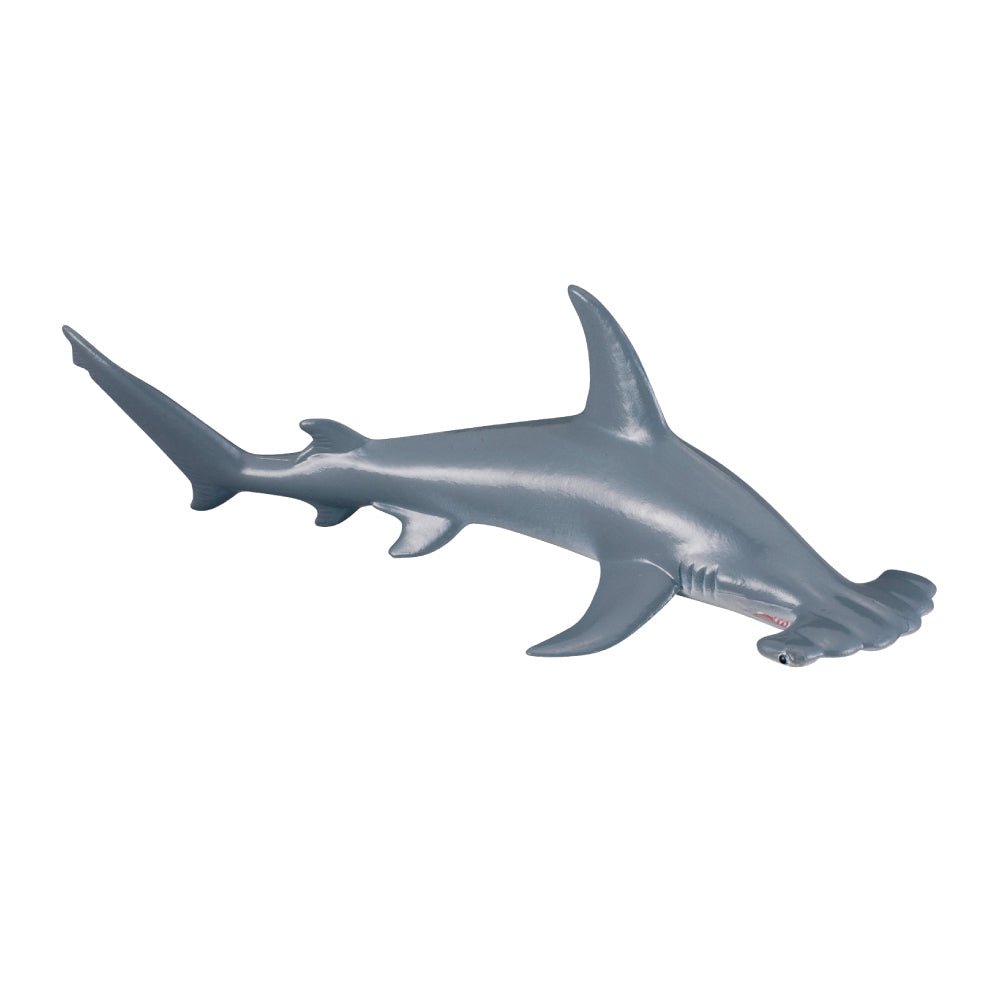 Scalloped Hammerhead Shark || CollectA - CollectA - Sticks & Stones Education