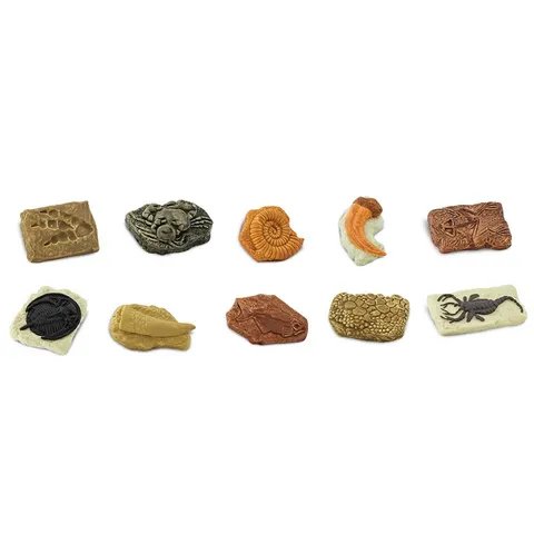Ancient Fossils Toob - Safari Ltd. - Sticks & Stones Education