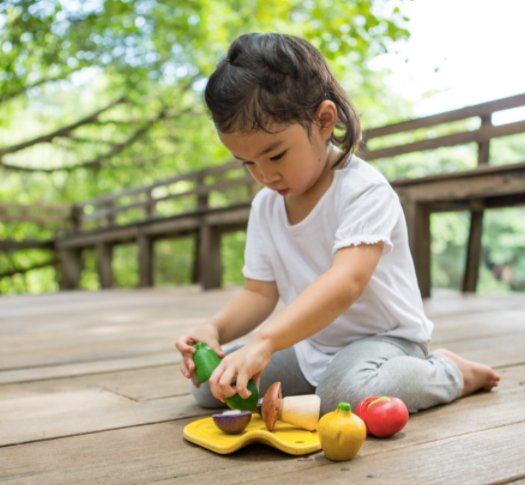 Assorted Vegetable Set || PlanToys - Plantoys - Sticks & Stones Education