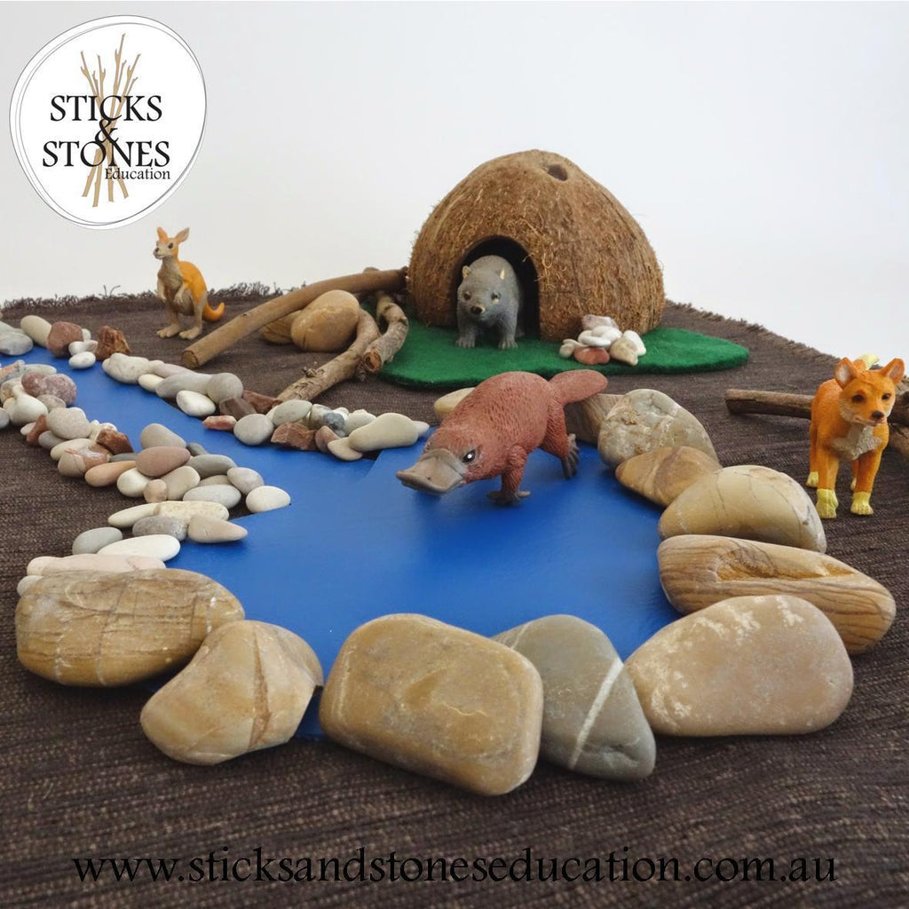 Australian Animal Nature Tube || Wild Republic - Wild Republic - Sticks & Stones Education