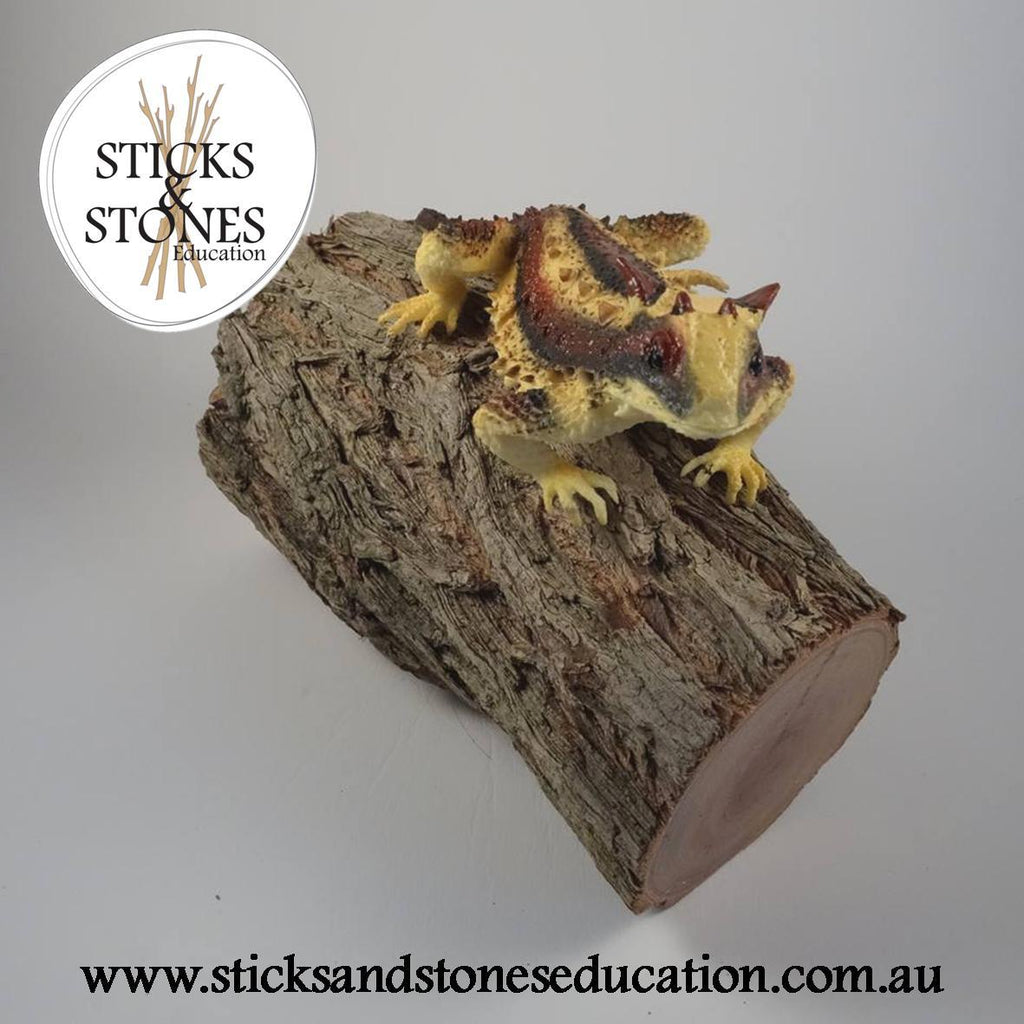 Australian Animals || Wild Republic - Wild Republic - Sticks & Stones Education