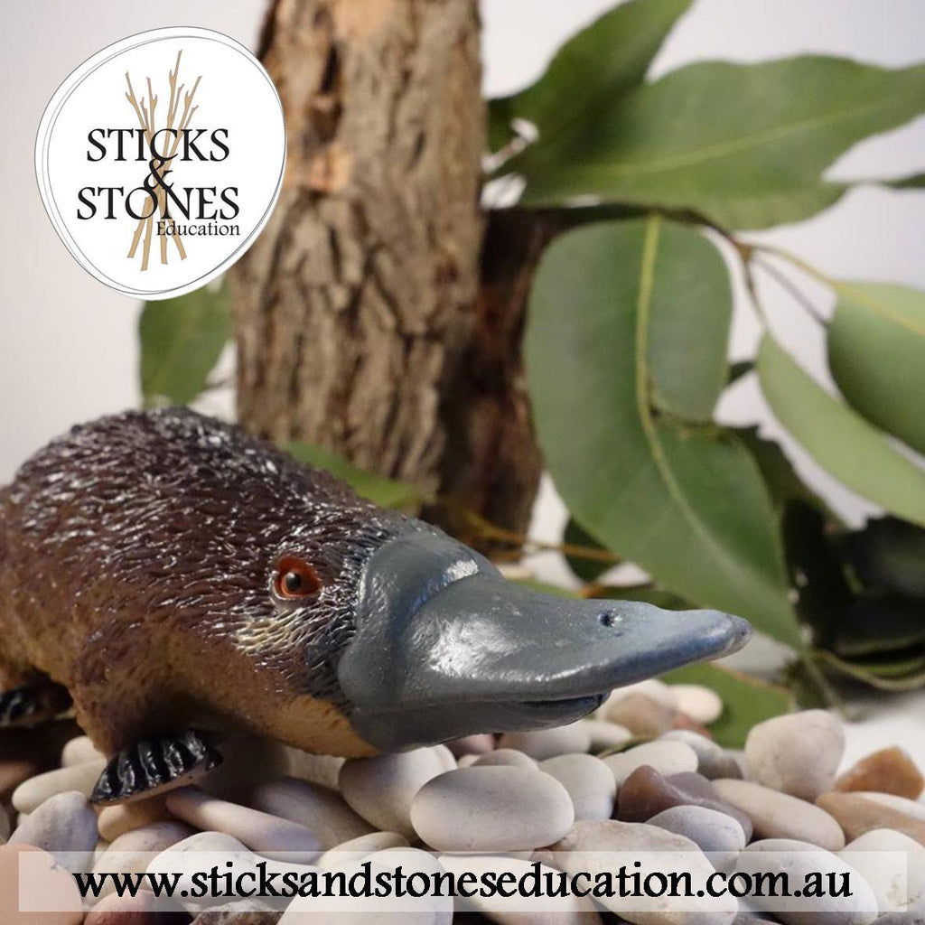 Australian Animals || Wild Republic - Wild Republic - Sticks & Stones Education