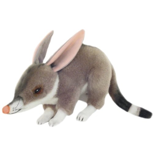 Bilby || Bocchetta - Bocchetta Plush Toys - Sticks & Stones Education