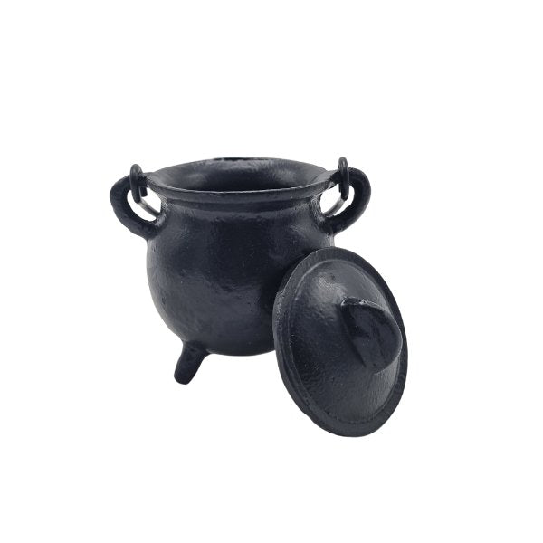 Cast Iron Cauldron with Lid - Sticks & Stones Education - Sticks & Stones Education