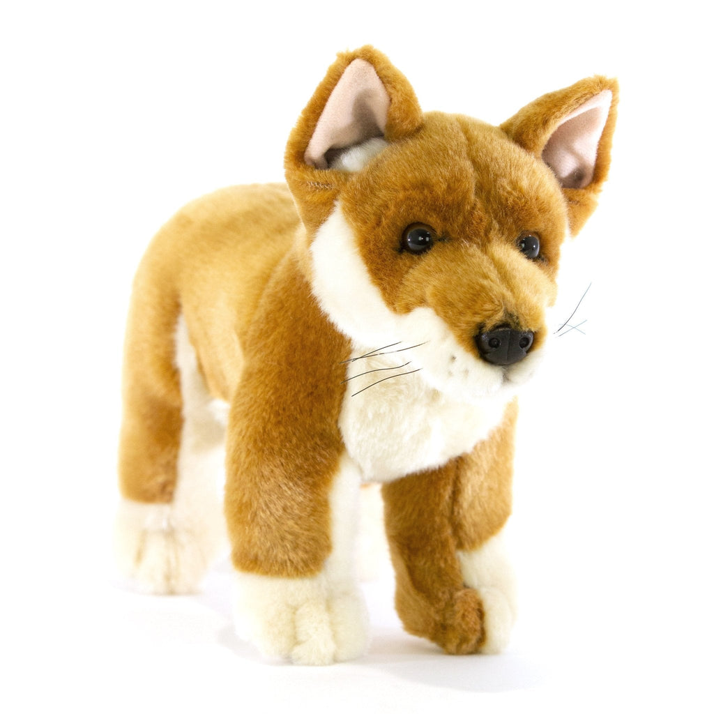 Dingo || Bocchetta - Bocchetta Plush Toys - Sticks & Stones Education