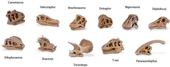 Dino Skulls Toob - Safari Ltd. - Sticks & Stones Education