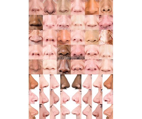 Facial Features Paper - 40 A3 Sheets - Zart Art - Sticks & Stones Education