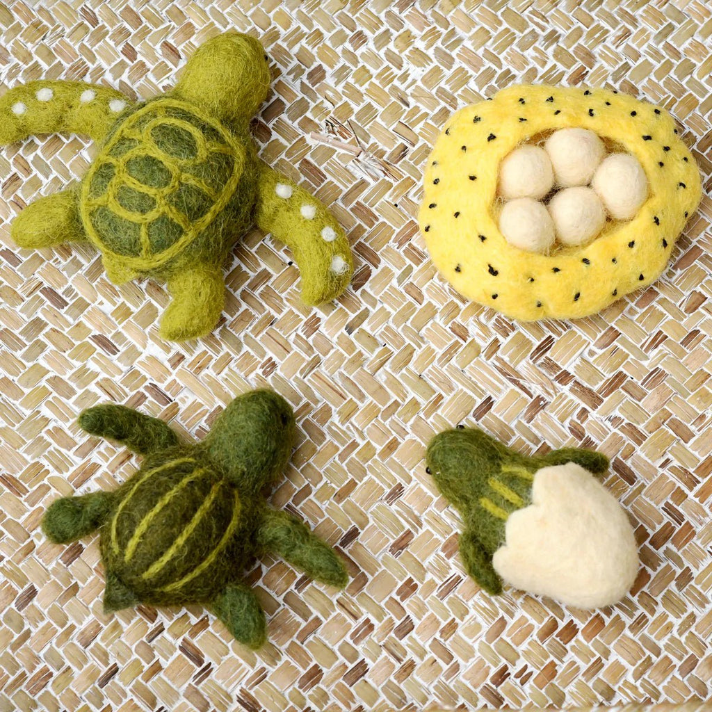 Felt Lifecycle of a Green Sea Turtle - Tara Treasures - Sticks & Stones Education