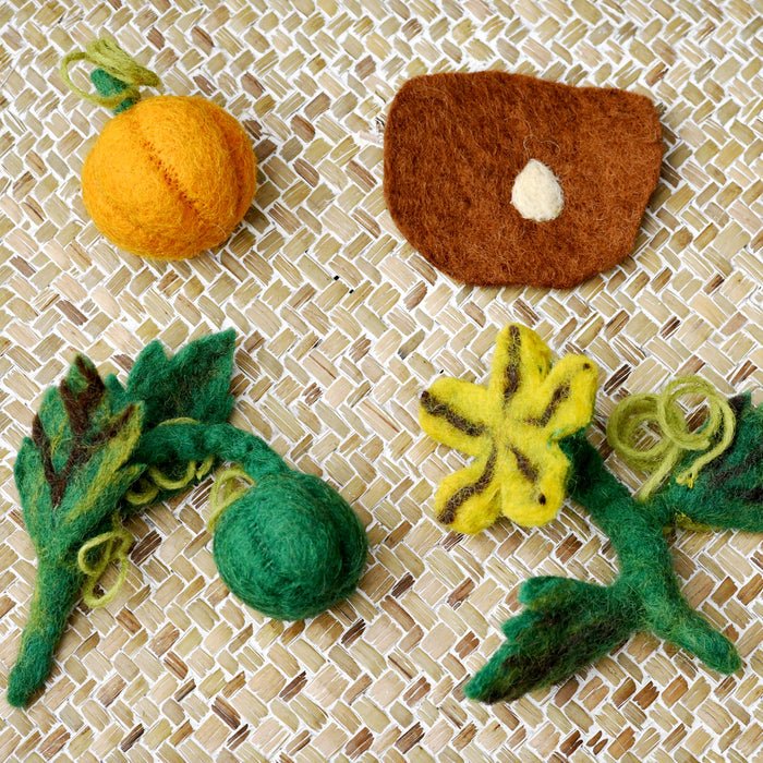 Felt Lifecycle of a Pumpkin - Tara Treasures - Sticks & Stones Education