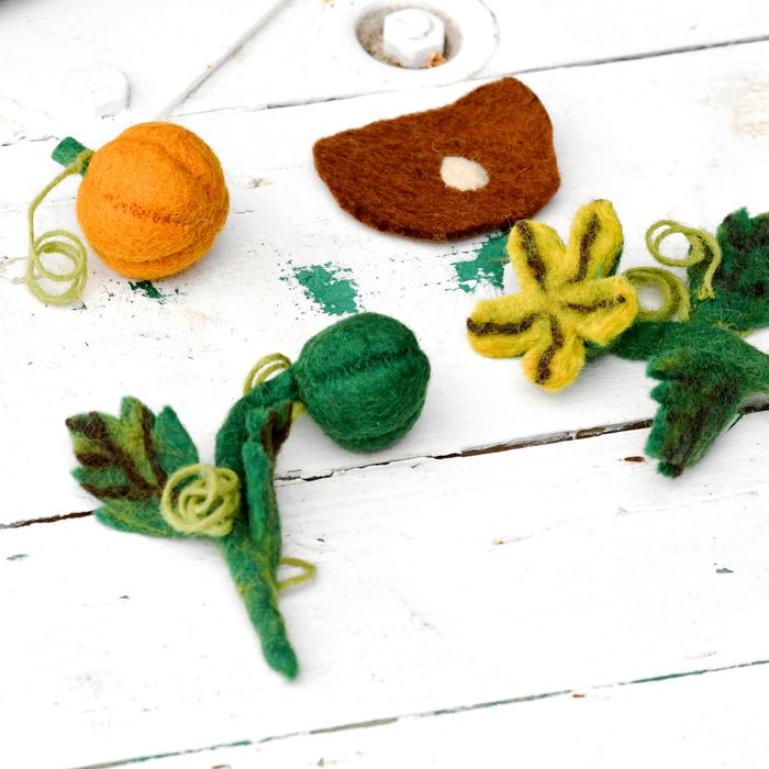 Felt Lifecycle of a Pumpkin - Tara Treasures - Sticks & Stones Education