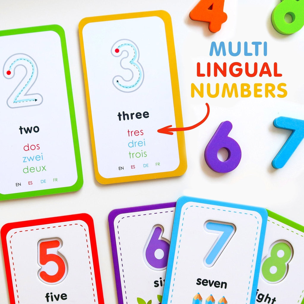 Flashcards and 123 Magnetic Numbers || Curious Columbus - Curious Columbus - Sticks & Stones Education