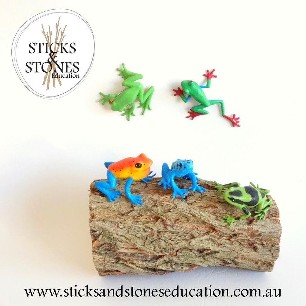 Frog Nature Tube || Wild Republic - Wild Republic - Sticks & Stones Education