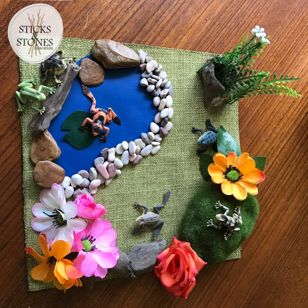 Frog Pond Small World - Suitcase Gift Box - Sticks & Stones Education - Sticks & Stones Education