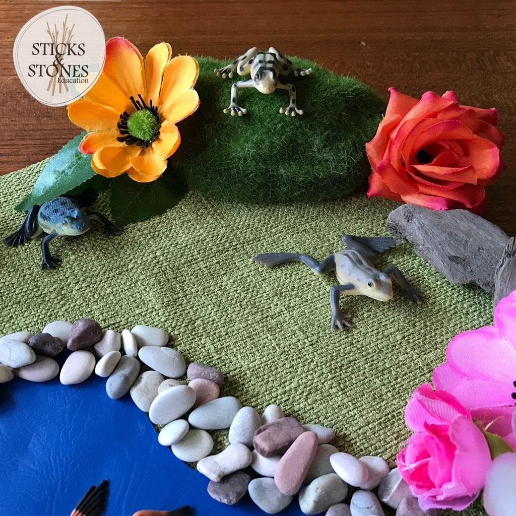 Frog Pond Small World - Suitcase Gift Box - Sticks & Stones Education - Sticks & Stones Education