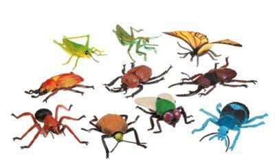 Insect Collection Polybag || Wild Republic - Wild Republic - Sticks & Stones Education