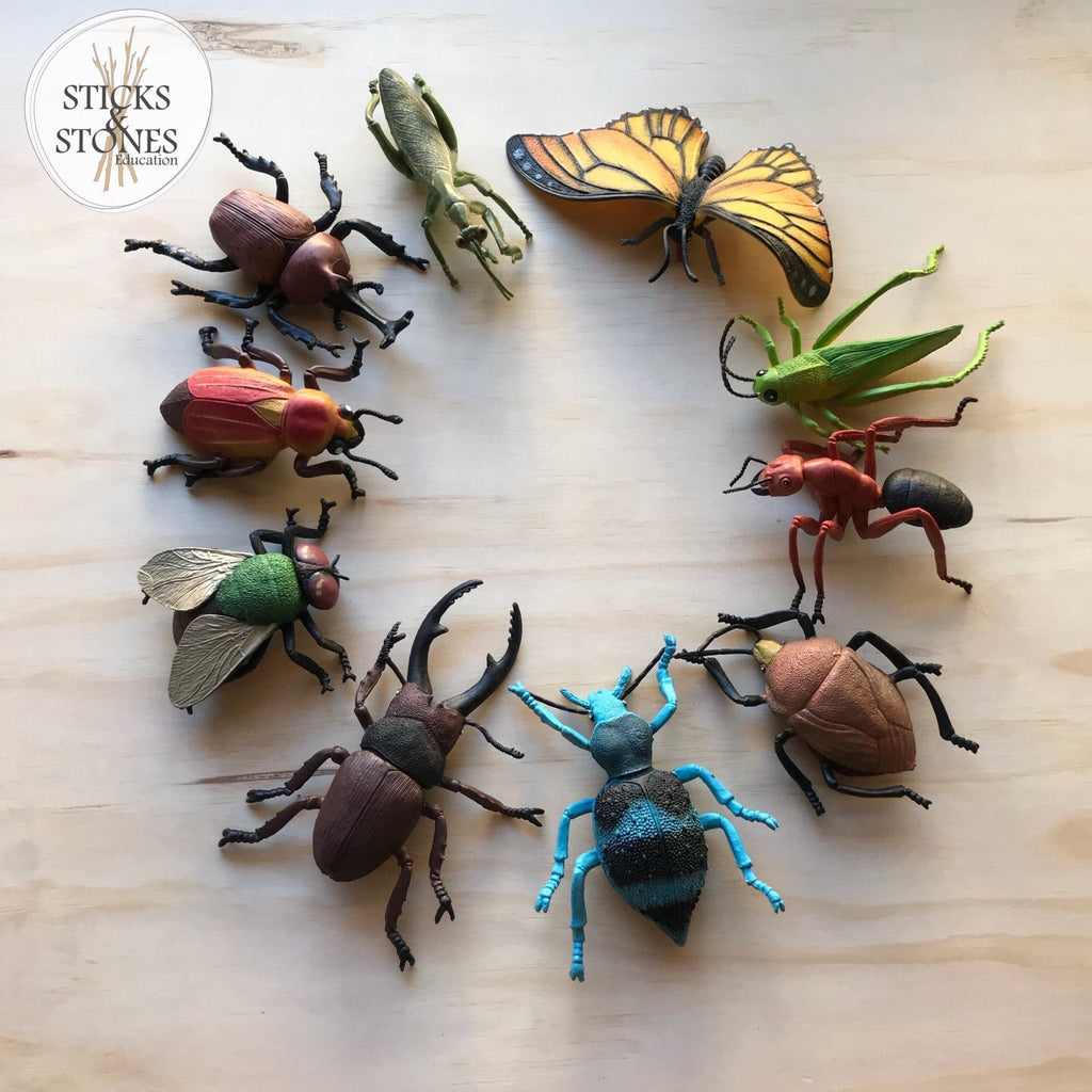 Insect Collection Polybag || Wild Republic - Wild Republic - Sticks & Stones Education