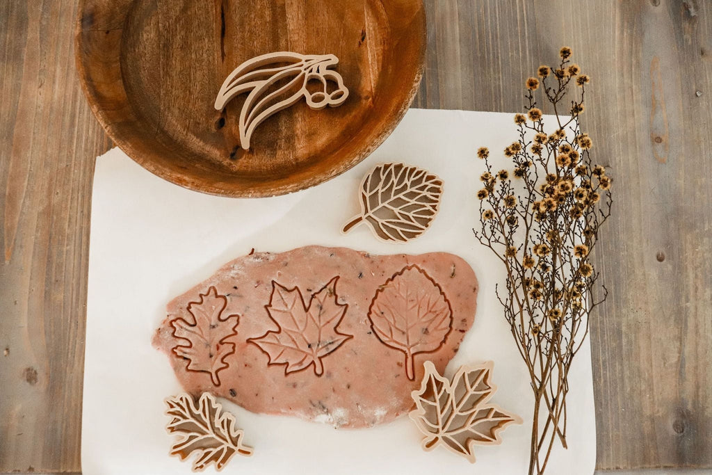 Leaf Eco Cutter Set - Kinfolk Pantry - Sticks & Stones Education