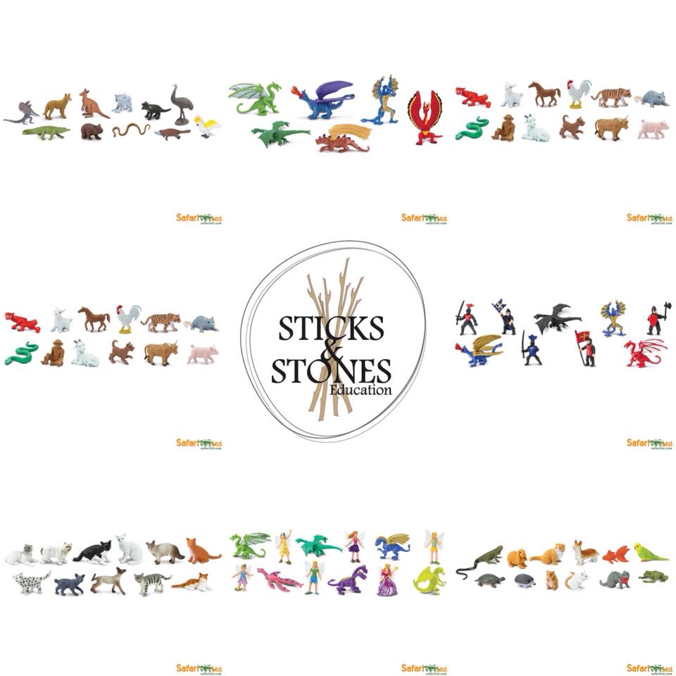 Life Cycle of a Worm - Safari Ltd. - Sticks & Stones Education