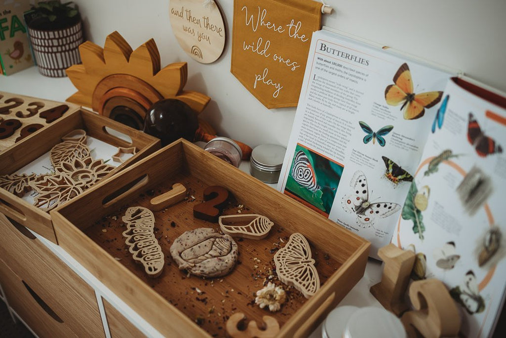 Monarch Butterfly Life Cycle Eco Cutter Set - Kinfolk Pantry - Sticks & Stones Education