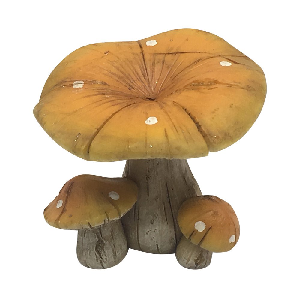 Natural Mushroom Toadstool - Set of 2 - Sticks & Stones Education - Sticks & Stones Education