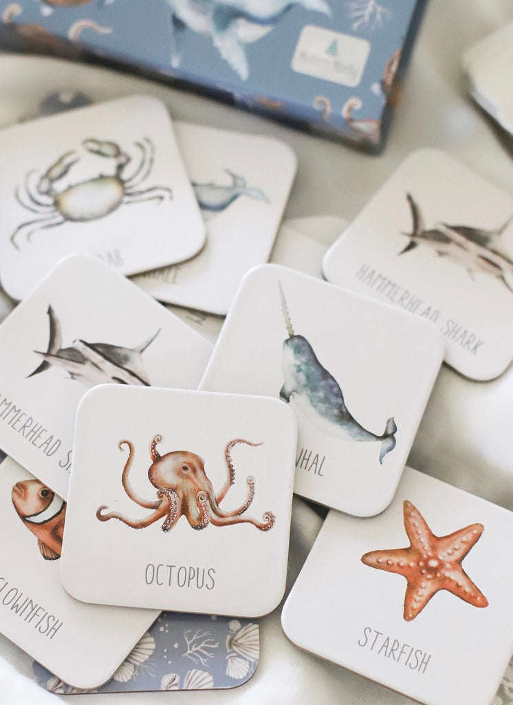 Ocean Memory Card Game - Modern Monty - Sticks & Stones Education