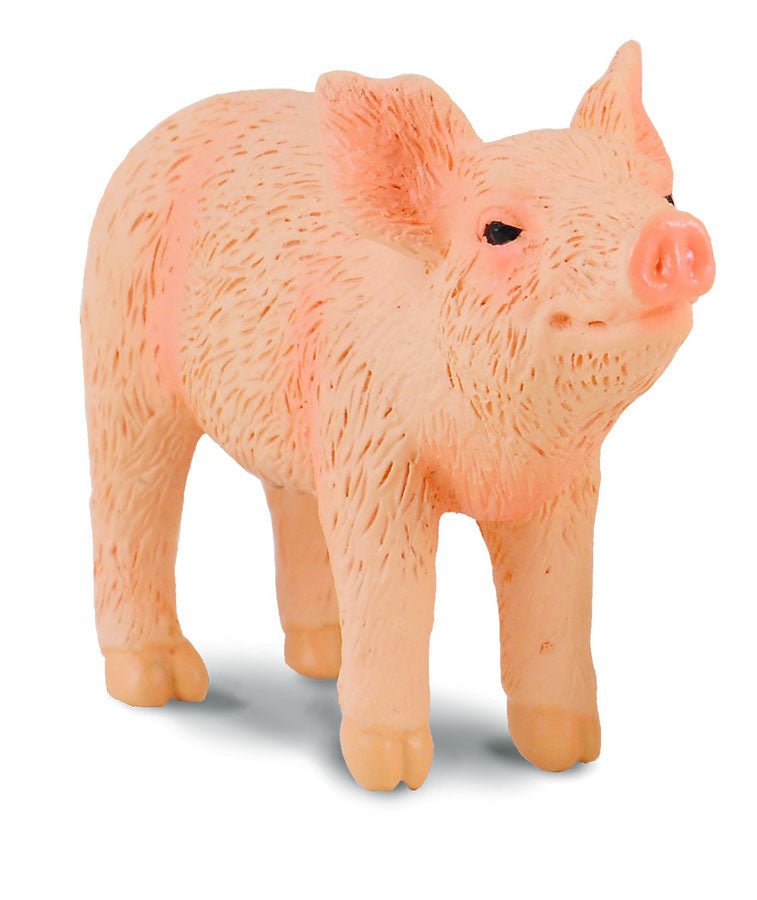 Piglet Smelling || CollectA - CollectA - Sticks & Stones Education
