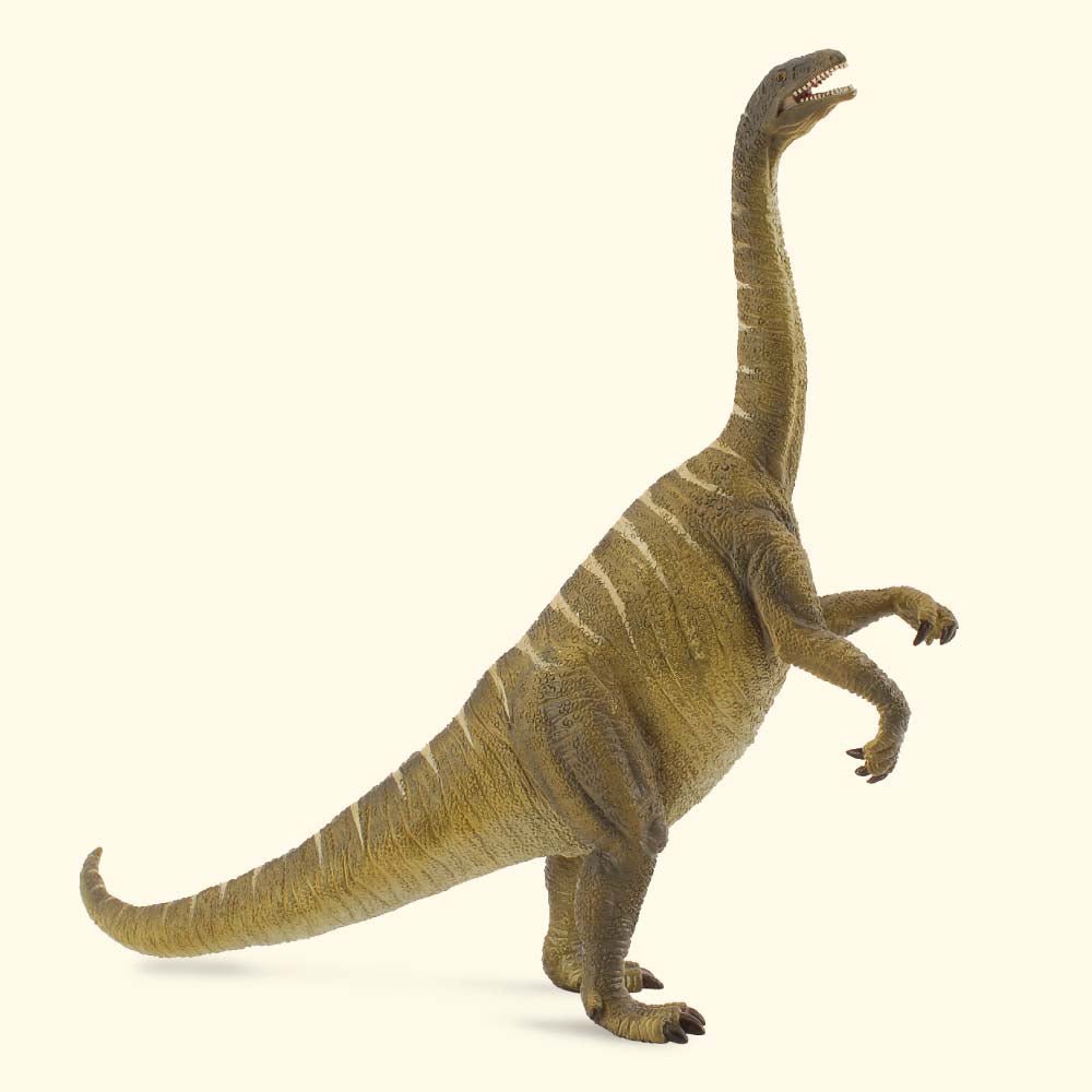 Plateosaurus || CollectA - CollectA - Sticks & Stones Education