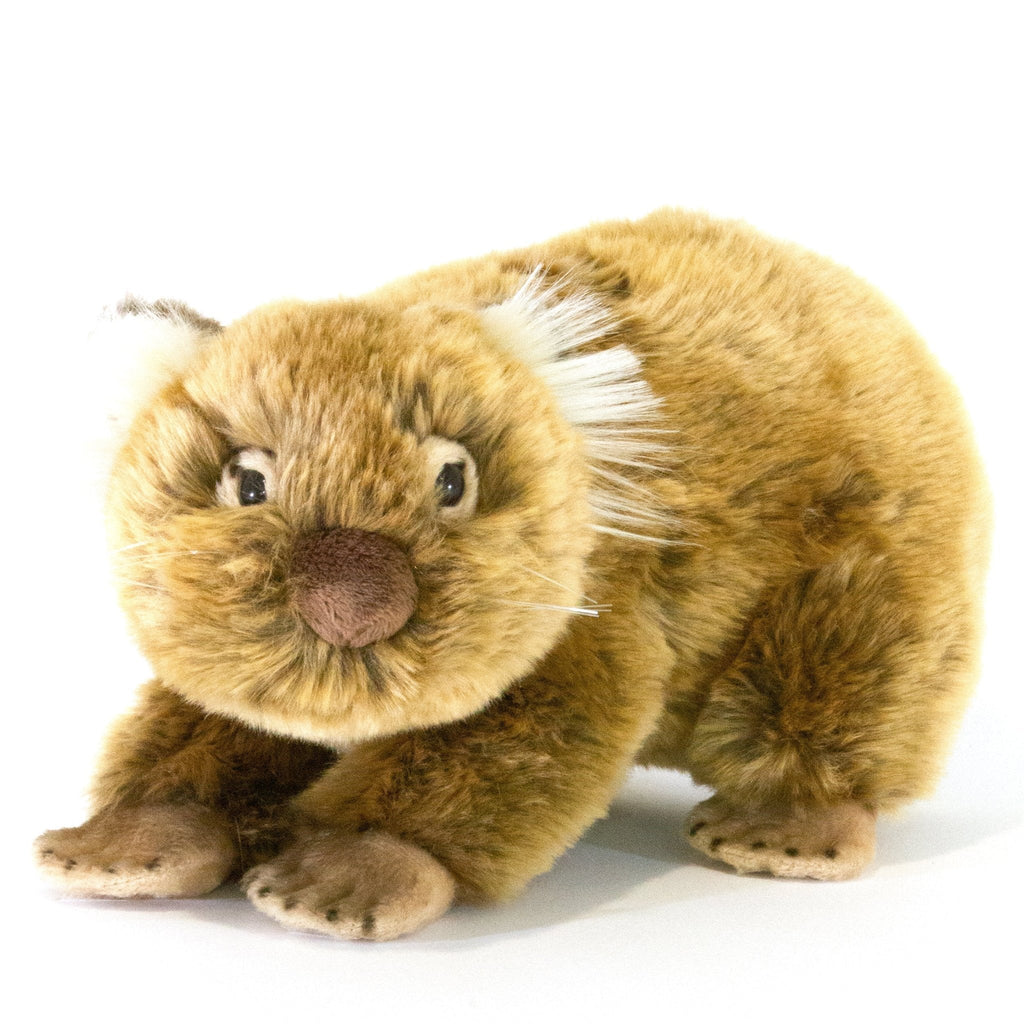 Plush Wombat || Bocchetta - Bocchetta Plush Toys - Sticks & Stones Education