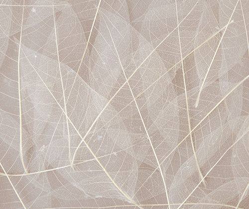 Skeleton Leaves - Natural - Zart Art - Sticks & Stones Education