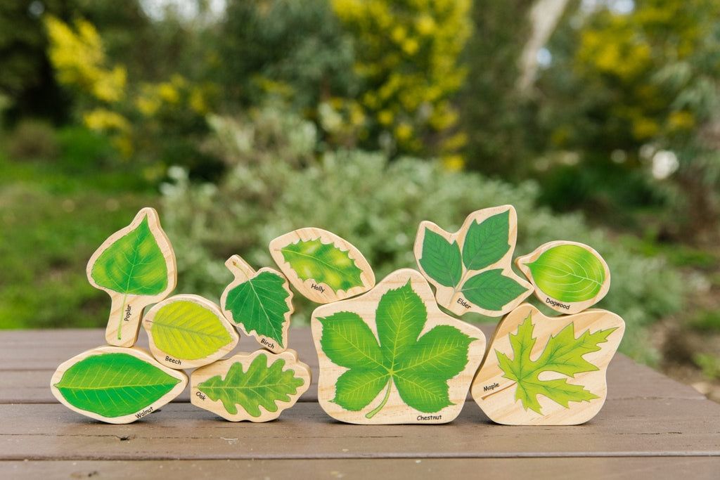 Stacking Leaves - The Freckled Frog - Sticks & Stones Education