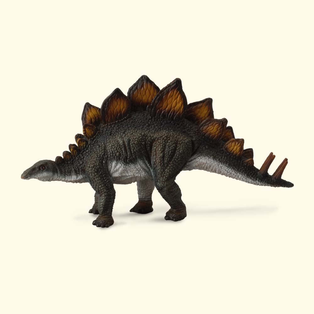Stegosaurus || CollectA - CollectA - Sticks & Stones Education
