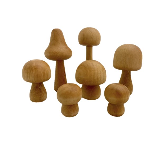 Toadstool Mushroom - Set of 7 - Papoose Toys - Sticks & Stones Education